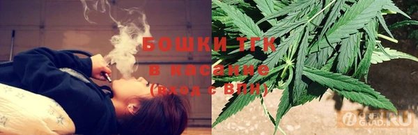 индика Волоколамск