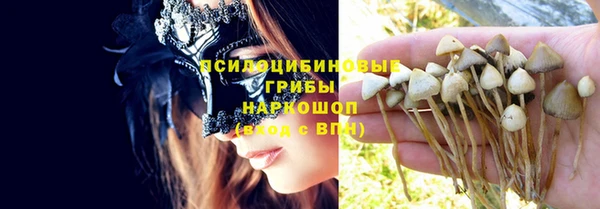 индика Волоколамск