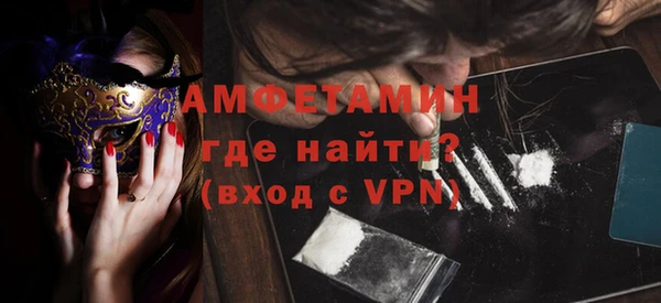 индика Волоколамск