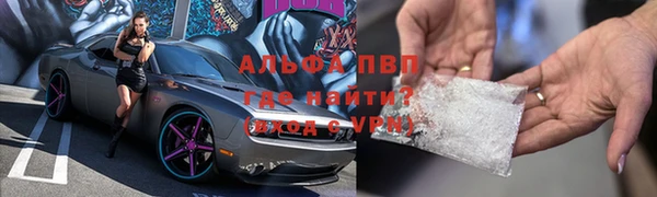 индика Волоколамск