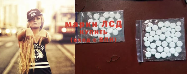 PSILOCYBIN Волосово