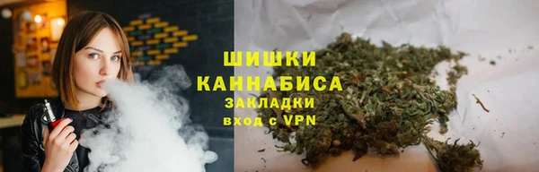 PSILOCYBIN Волосово