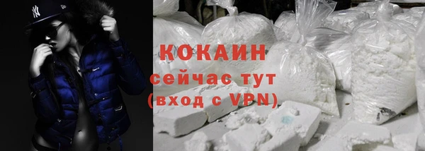 твердый Вяземский