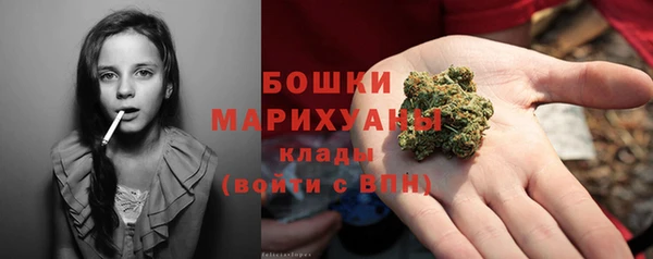 PSILOCYBIN Волосово