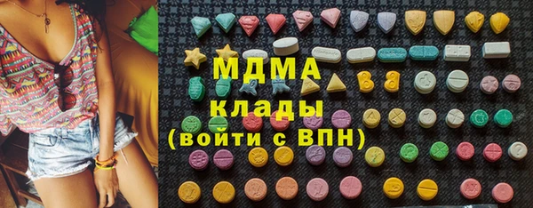 индика Волоколамск