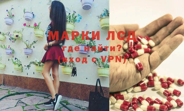 индика Волоколамск