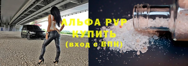 индика Волоколамск
