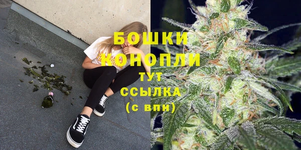 индика Волоколамск
