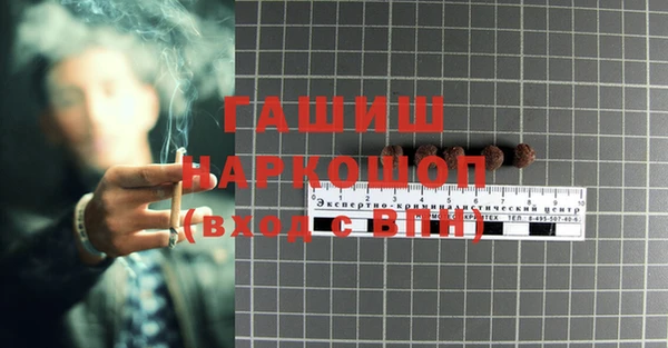 индика Волоколамск