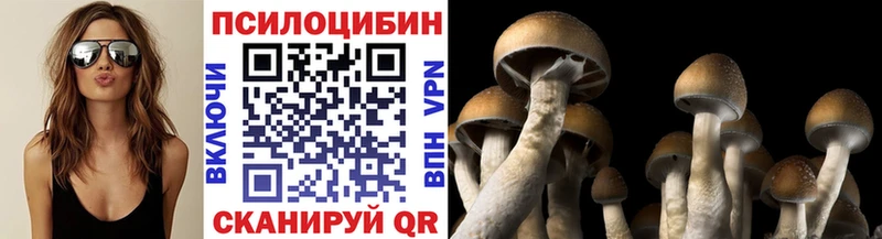 площадка какой сайт  Йошкар-Ола  Галлюциногенные грибы мухоморы  продажа наркотиков 